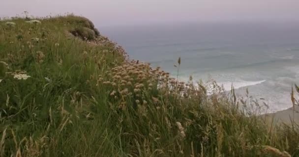 波と崖とコーンウォールの海辺の景色 海岸線に達する雄大な波とムーディー曇りの景色 旅行や休日のテーマ — ストック動画