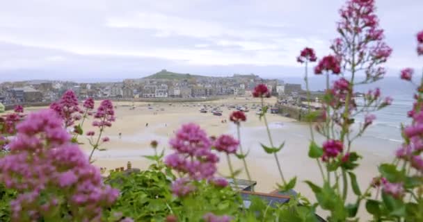 Ives View Cornish Uitzicht Zee Een Zonnige Dag Het Verenigd — Stockvideo