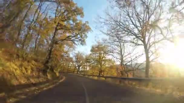 Güneşli Bir Günde Kırsal Bir Yolda Araba Sürmek Araçta Bir — Stok video