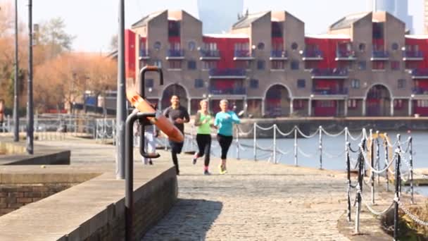 Grupo Multirracial Amigos Con Hombres Mujeres Corriendo Juntos Entrenamiento Ciudad — Vídeos de Stock