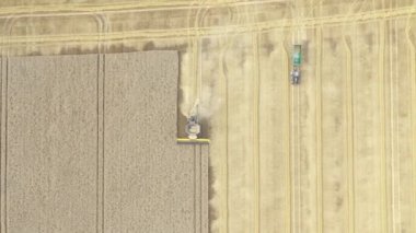 Aerial drone shot of combine harvester machine and tractor working on wheat farm field in summer harvesting crop
