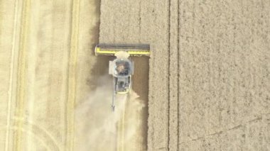 Aerial drone shot of combine harvester machine and tractor working on wheat farm field in summer harvesting crop