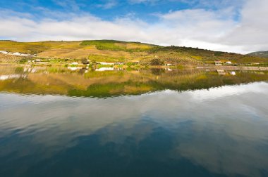 Portekiz 'deki Douro Nehri kıyıları boyunca uzanan geniş üzüm bağları