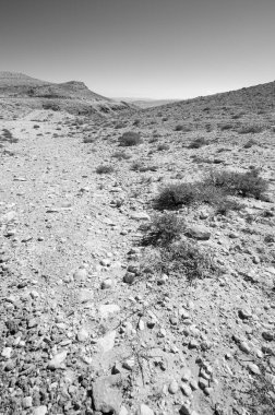 İsrail çölünde siyah beyaz kaya oluşumlarının nefes kesen manzarasının cansız ve ıssız manzarası.