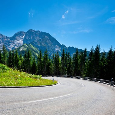 Bavyera Alpleri'nde panoramastrasse asfalt yol