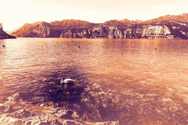 Rive Déserte Lac Garde Italie Absence Tourisme Aube Dans Style — Photo
