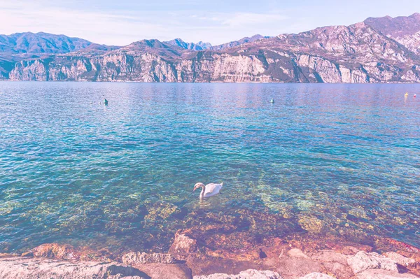 Riva Deserta Del Lago Garda Italia Assenza Turismo Effetto Colore — Foto Stock