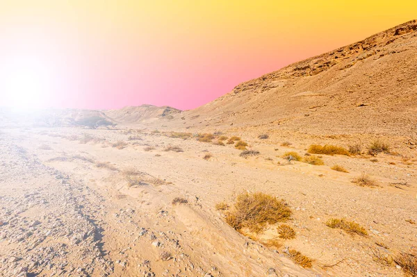 Impresionante Paisaje Las Formaciones Rocosas Desierto Israel Escena Sin Vida —  Fotos de Stock