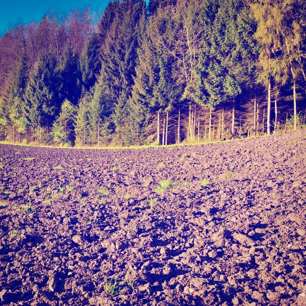 Campos Pavimentados Cercados Por Florestas Suíça Efeito Instagram — Fotografia de Stock