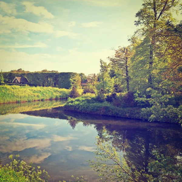 オランダ Instagram 効果で運河沿いにグリーンウッド — ストック写真
