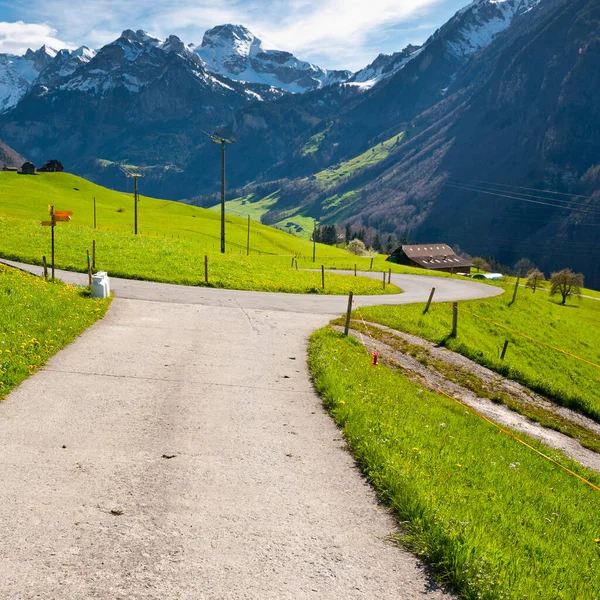 牛奶罐高了瑞士的阿尔卑斯山在十字路口 — 图库照片