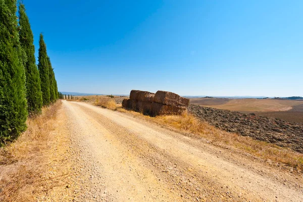 トスカーナの丘のフィールドに無精ひげ 収穫後のトスカーナ風景です イタリアで耕した畑の糸杉と並んで未舗装の道路 — ストック写真