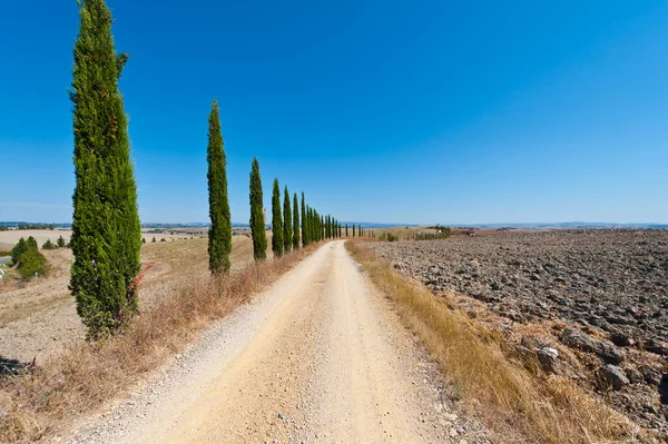 トスカーナの丘のフィールドに無精ひげ 収穫後のトスカーナ風景です イタリアで耕した畑の糸杉と並んで未舗装の道路 — ストック写真