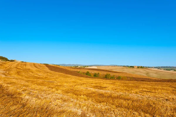 トスカーナの丘のフィールドに無精ひげ 収穫後のトスカーナ風景 — ストック写真