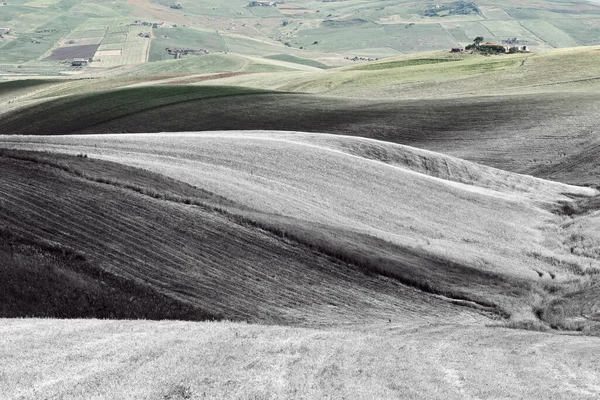シチリア島 レトロなイメージの丘に無精ひげフィールド フィルター スタイル — ストック写真