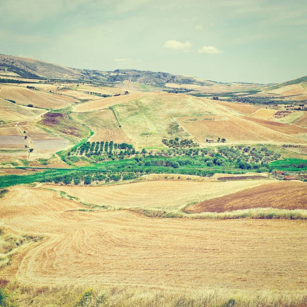 Instagram の効果 シチリア島の丘の上の刈り株畑 — ストック写真