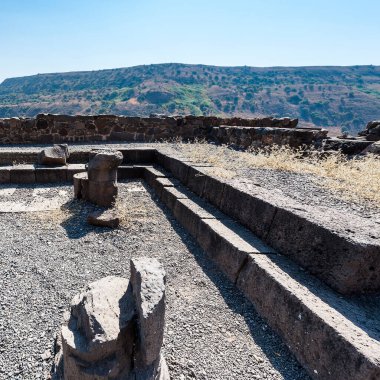 Gamla doğa rezerv İsrail Golan Tepeleri bulunan. Arkeolojik ve sinagog kalıntıları görüntülemek, İsrail'de keşfedilen en eski biridir.