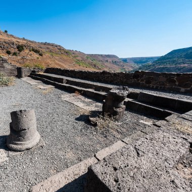 Gamla doğa rezerv İsrail Golan Tepeleri bulunan. Arkeolojik ve sinagog kalıntıları görüntülemek, İsrail'de keşfedilen en eski biridir.
