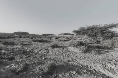 İsrail 'deki Negev Çölü' nün kayalık tepelerinde siyah beyaz dramatik bir sahne. Ortadoğu 'nun nefes kesici manzarası ve doğası. 