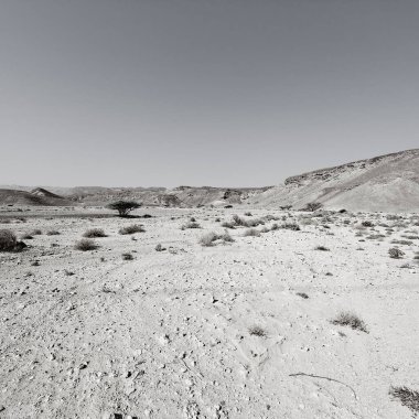 İsrail 'deki Negev Çölü' nün kayalık tepelerinde siyah beyaz dramatik bir sahne. Ortadoğu 'nun nefes kesici manzarası ve doğası. 