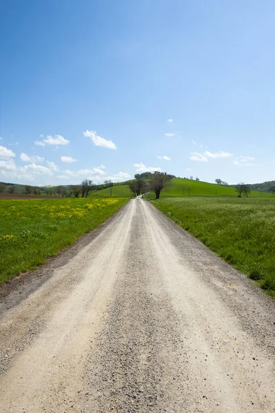 Winding dirt road between spring fields of Tuscany