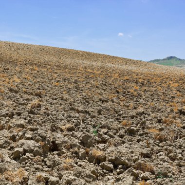 Sicilya eğimli tepeler üzerinde sürülmüş alanlar