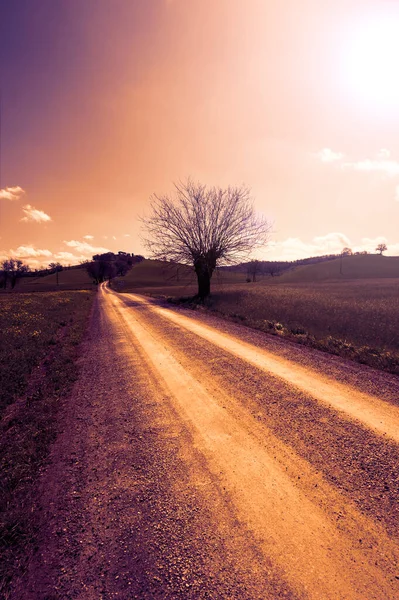 Estrada Terra Sinuosa Entre Campos Primavera Toscana Pôr Sol — Fotografia de Stock