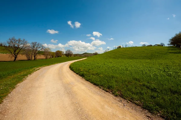 Bochtige Onverharde Weg Tussen Voorjaarsvelden Van Toscane — Stockfoto