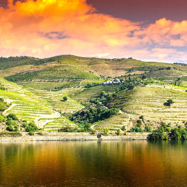Res Douroregionen Portugal Bland Vingårdar Och Olivlundar Vinodling Portugisiska Byarna — Stockfoto