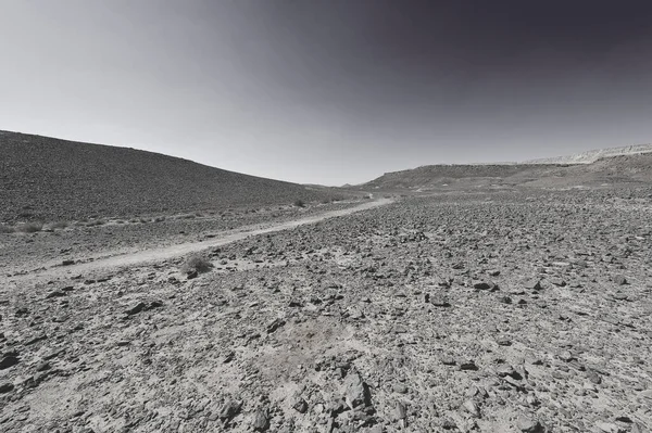 Felsige Hügel Der Negev Wüste Israel Atemberaubende Landschaft Und Natur — Stockfoto
