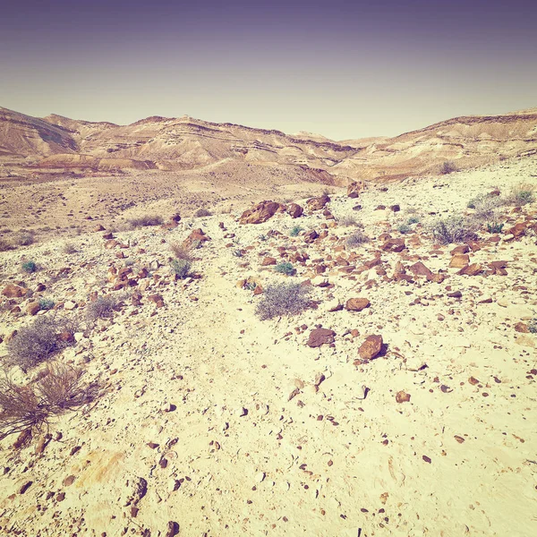 Поширений Пустелі Негев Ізраїлі Заході Сонця Instagram Ефект — стокове фото