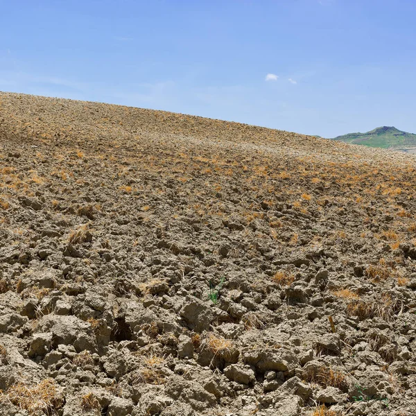 シチリア島の傾斜の丘の上の畑 — ストック写真