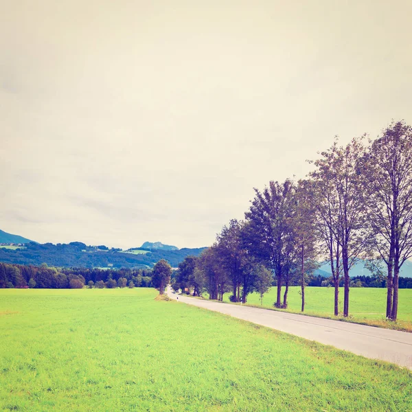 雨の日に南バイエルンの牧草地に沿ってアスファルト道路 Instagramの効果 — ストック写真