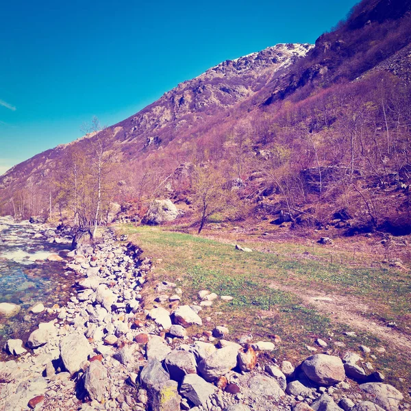 Corrente Montanha Nos Alpes Italianos Piemonte Efeito Instagram — Fotografia de Stock