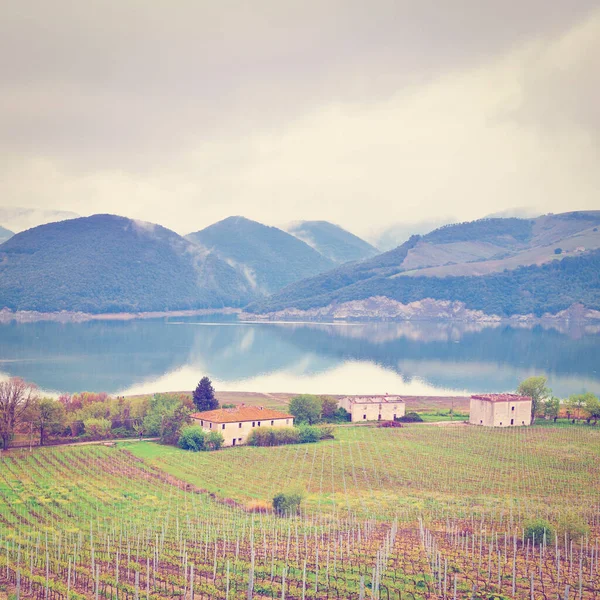 Vineyard Shore Lake Corbara Umbria Italy Instagram Effect — Stock Photo, Image