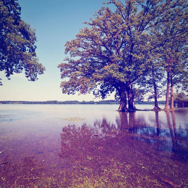 Spring Flooding Lake Simssee Bavaria Γερμανία Instagram Effect Εικόνα Αρχείου