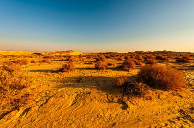 İsrail çölündeki kaya oluşumlarının nefes kesici manzarası. Yalnızlık, umutsuzluk ve depresyon kavramı olarak cansız ve ıssız bir sahne..