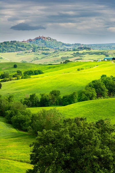 丘の上のイタリアの中世の町Montepulciano ブドウ畑とオリーブの木とスカイラインと田舎の風景 ストックフォト