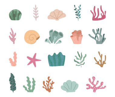 Deniz altı dünyası, İskandinav tarzı mercan, deniz yosunu, kabuk ve deniz yıldızlarıyla barışçıl deniz dekorasyonu, illüstrasyon ve yaratıcı okyanus tasarımı projeleri için kurulmuştur.