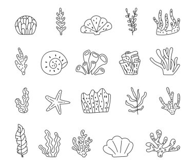 Deniz altı dünyası, mercan, deniz yosunu, kabuk ve deniz yıldızlarıyla özetlenmiştir. Huzurlu deniz dekorasyonu, illüstrasyon ve yaratıcı okyanus tasarımı projeleri için.