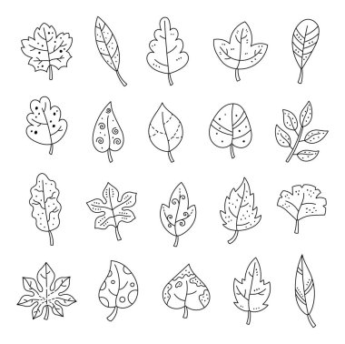Ana hatlara yerleştirilmiş doğa yaprağı sanat farklı şekillerde, doğal bitkiler için elementler illüstrasyon ve yaratıcı tasarım projeleriniz için mükemmel.