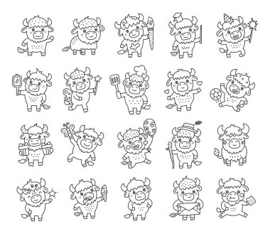 Bizon tapılası karakteri ana hatlarıyla birçok güzel duygu ve farklı pozlar barındırıyor. Doğum günü kutlaması, mezuniyet, yemek pişirme, spor, sevgililer günü ve fantezi aktiviteleri de buna dahil.