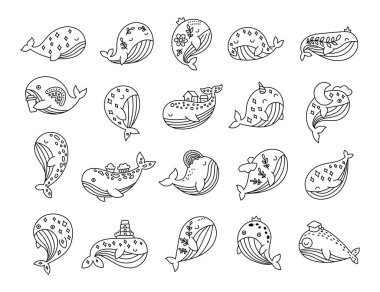 Ana hatlarıyla belirlenmiş balina karakteri, deniz hayvanlarını servis kupası, taç, kale, ev, mezuniyet şapkası, kanatlar, bulut, bulut, gökkuşağı, kek ve parti şapkası ile gösteriyor.