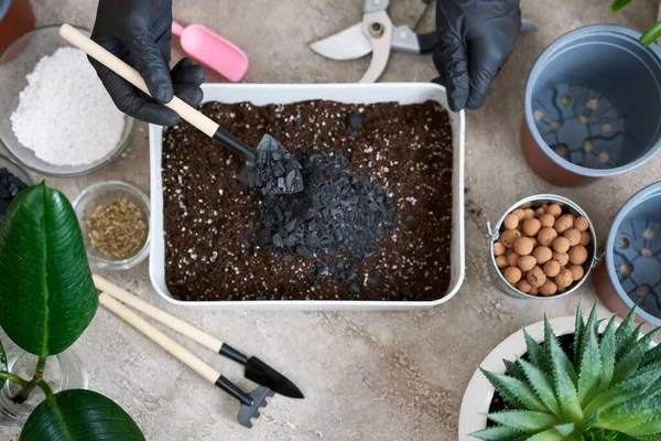 Przygotowanie Podłoża Glebowego Sadzenia Roślin Domowych Doniczce — Zdjęcie stockowe