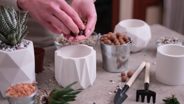妇女将膨化的粘土放入白色陶瓷壶中用于哈沃斯油菜盆栽 — 图库视频影像