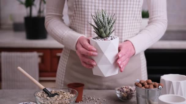 Kobieta Trzyma Biały Ceramiczny Garnek Haworthia Succulent Doniczkowe — Wideo stockowe