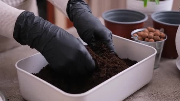 Evde Bahçıvanlık Bitki Nakli Kadın Toprak Tabakasını Ellerle Karıştırıyor — Stok video