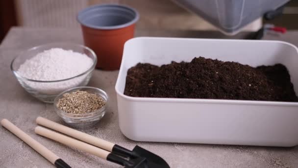 家庭园艺和植物移植 为准备底物而浇灌带有花园勺的土壤盒的妇女 — 图库视频影像