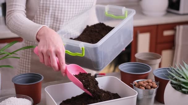 家庭菜園と植物移植 女性は基質の準備のために庭のスクープで土壌箱を注ぐ — ストック動画