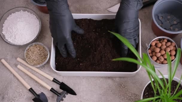 Casa Giardinaggio Trapianto Piante Donna Che Mescola Substrato Del Terreno — Video Stock